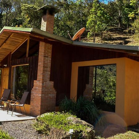 El Toucanet Lodge Copey Bagian luar foto