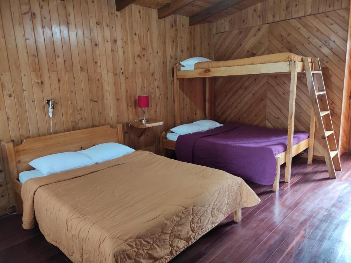 El Toucanet Lodge Copey Bagian luar foto