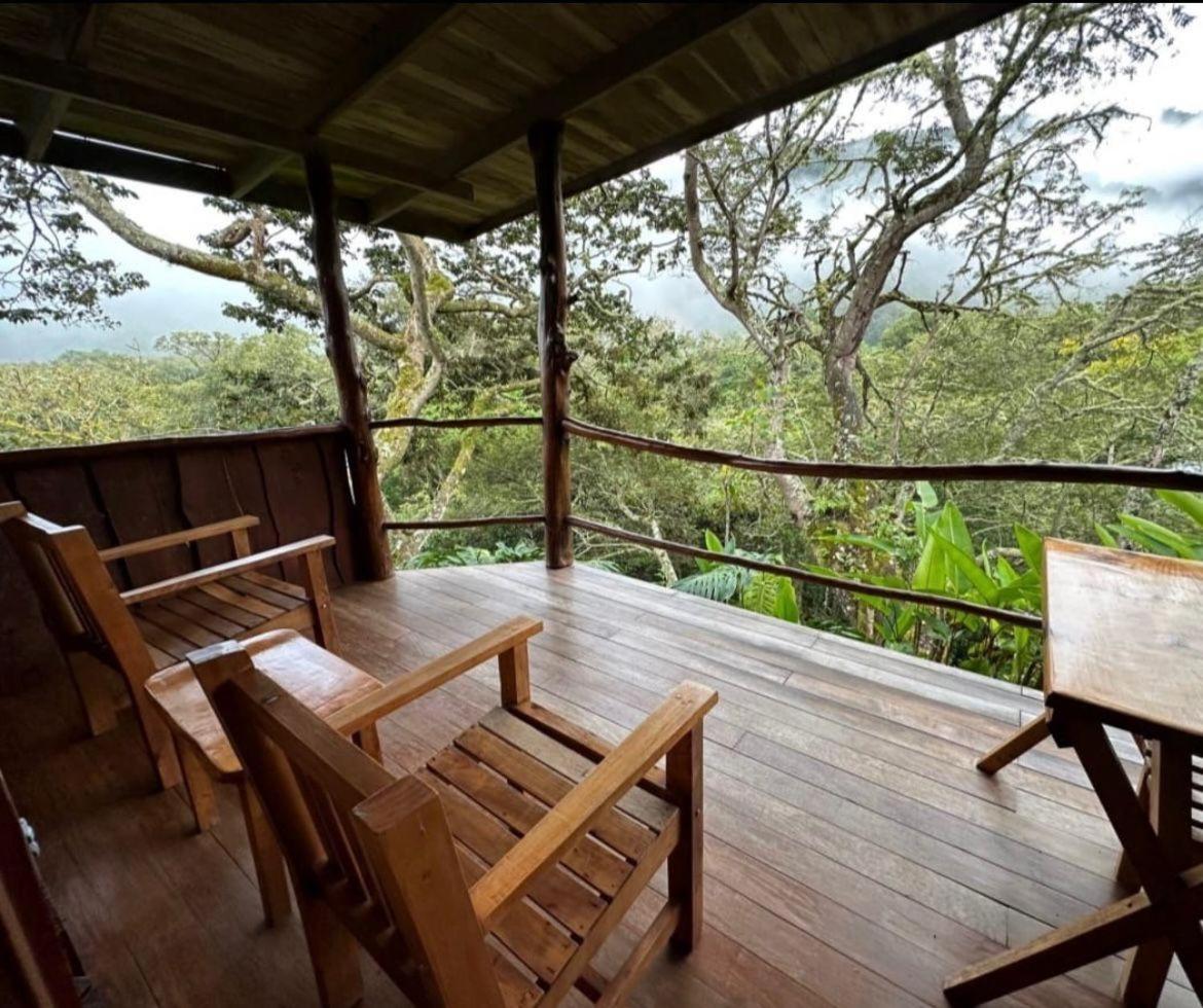 El Toucanet Lodge Copey Bagian luar foto